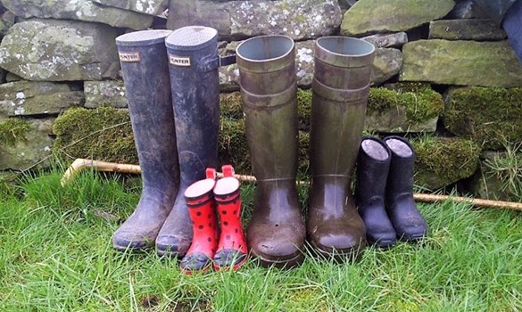 a group of boots on grass